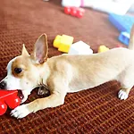 Novotel Corso Giulio Cesare Torino