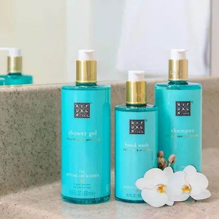 Ξενοδοχείο Novotel Corso Giulio Cesare 4*