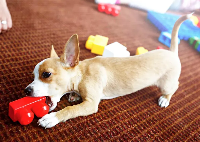 Novotel Corso Giulio Cesare Torino
